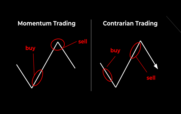 momentum investing contrarian investing (differences)