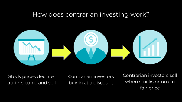 momentum investing contrarian investing (how does contrarian investing work)