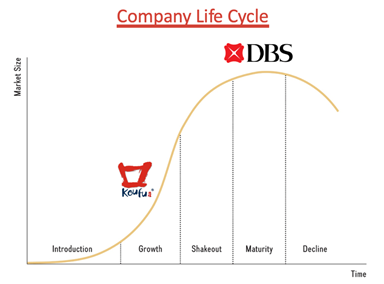 Investor-one review (company life cycle)