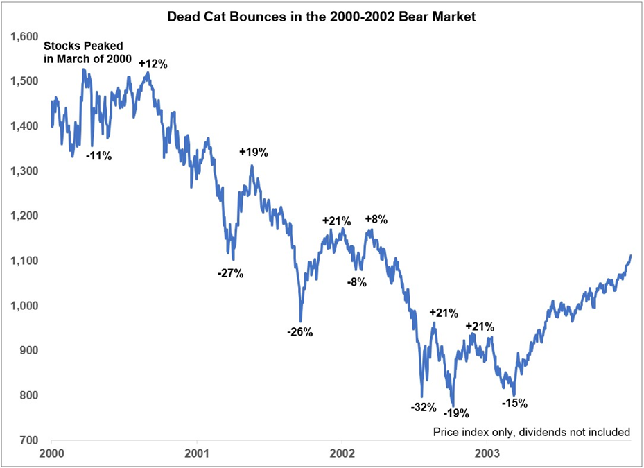 Stock Compounders (dead cat bounces in 2000-2002)