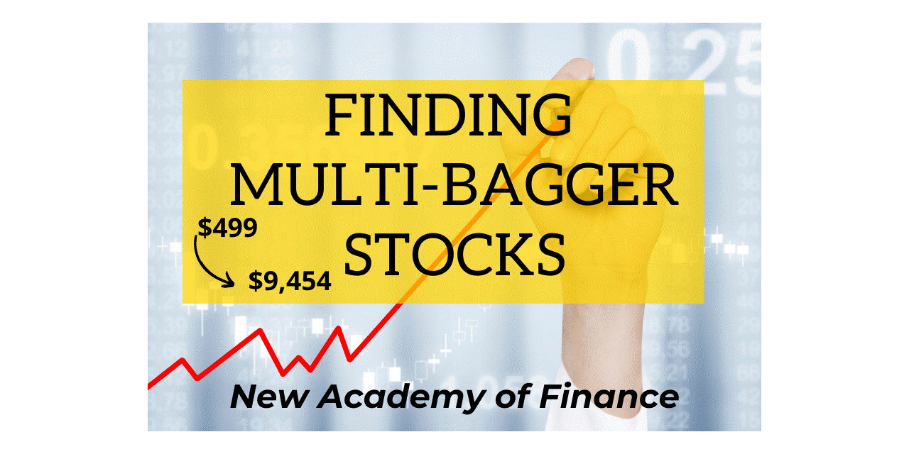 Finding Multi-Bagger Stocks: How to go from $499 to $9,454 in 12 years! 1