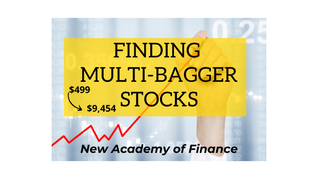 Finding Multi-Bagger Stocks: How to go from $499 to $9,454 in 12 years! 3