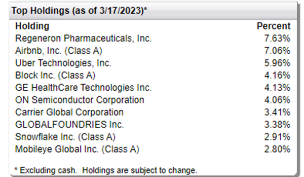 ETF Investment Strategies (FPX ETF Top 10 holdings)