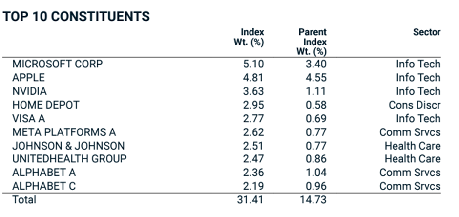 Quality Growth Investing (MSCI World Quality Index Top 10 components)