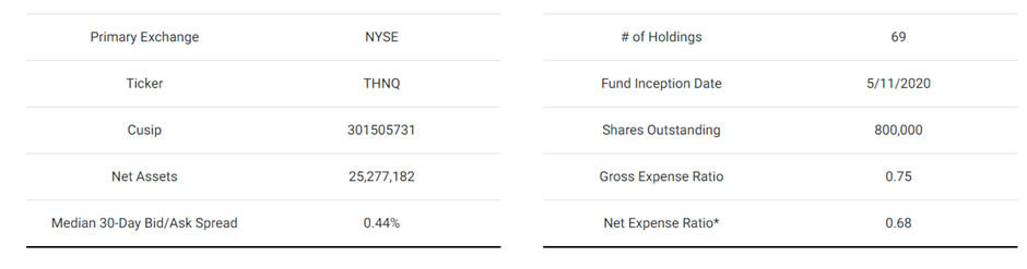 THNQ Stock (THNQ key data)